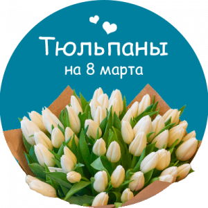 Купить тюльпаны в Зверево